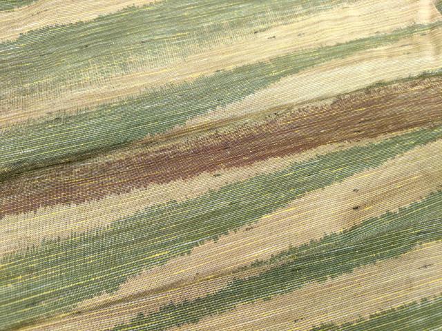 平和屋着物▽上質な紬　単衣　横段霞文　正絹　逸品　DAAV5188az