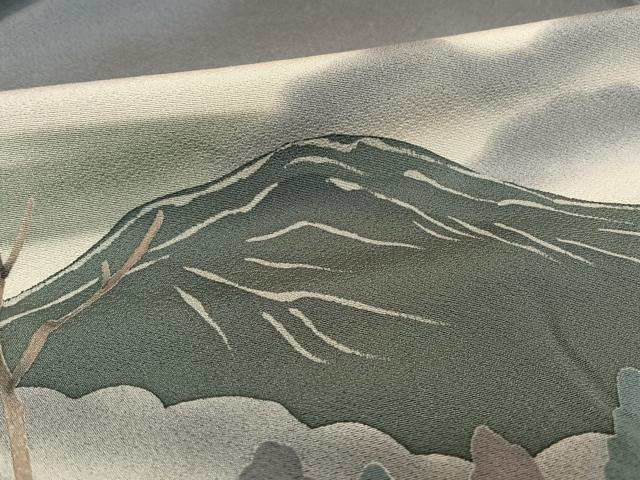 平和屋着物○訪問着 手描き 梟 フクロウ 正絹 逸品 AAAY1569np