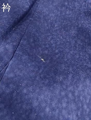 平和屋着物○白河貞雄 振袖 辻が花 絞り 舞花文 暈し染め 銀通し地