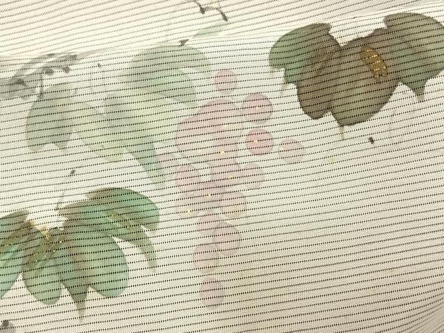 平和屋着物▽訪問着　無双　紗袷　紗×紗　手描き　葡萄文　金彩　正絹　逸品　AAAV2673fy 平和屋着物▽訪問着 無双 紗袷 紗×紗 手描き 葡萄文 金彩 正絹 逸品