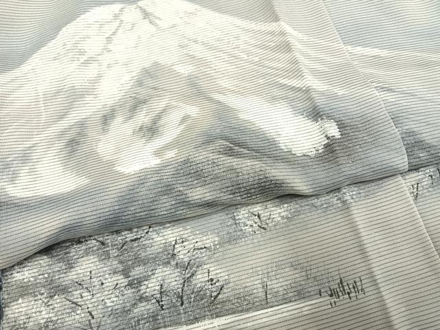 平和屋着物▽訪問着 無双 紗袷 紗×紗 手描き 風景樹林文