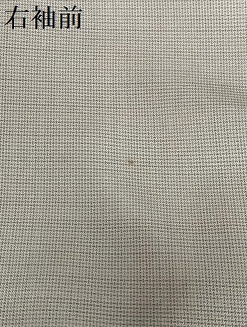 平和屋着物○本場染大島紬 訪問着 刺繍 草花文 金彩 正絹 逸品 AAAV7105zg