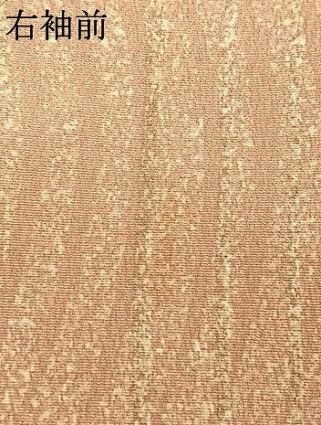 平和屋着物▽小紋 単衣 舞蝶文 ロング丈 洗える着物 AAAW1736fy