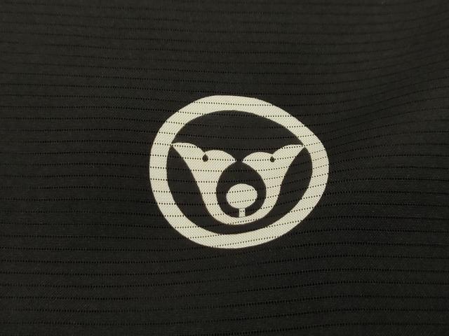 平和屋着物＊夏物 男性 黒紋付 羽織セット 暗黒色 正絹 逸品 AAAY6999sx