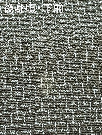 平和屋着物▽本塩沢　単衣　110亀甲　雪輪文　正絹　逸品　AAAZ1743fy_6