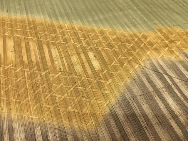 平和屋着物○生紬 訪問着 ろうけつ染め 網目文 縞 ロング丈 正絹 逸品