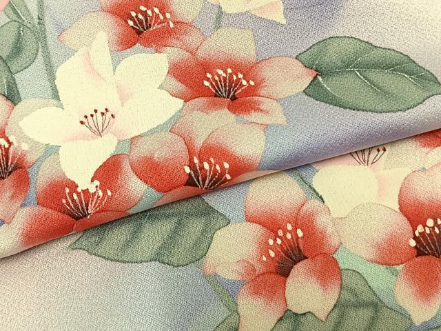 平和屋着物▽訪問着　単衣　手描き　草花文　暈し染め　正絹　逸品　AAAZ9075fy_4