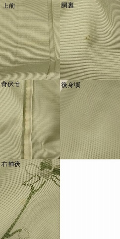 平和屋着物＊夏物　訪問着　絽　枝花文　正絹　逸品　AABA9331jd_8