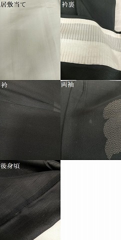 平和屋着物＊夏物　紗紬　訪問着　猫　黒地　正絹　逸品　AABB1338np_9