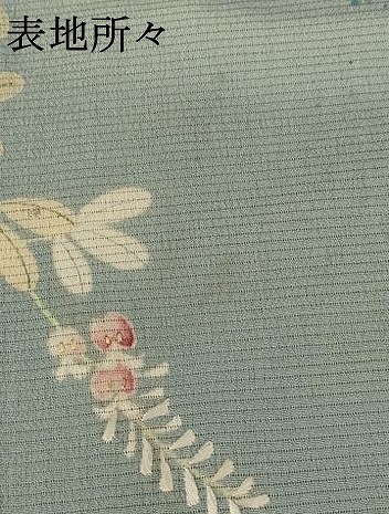 平和屋着物＊夏物 アンティーク 大正ロマン 色留袖 絽 草花文 両褄 暈