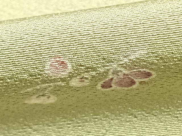 平和屋着物▽上質な小紋　単衣　枝花文　金彩　ますいわ屋扱い　正絹　逸品　AABC0511fy_5