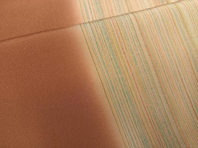 平和屋着物○長襦袢 無双仕立て 間道 半衿刺繍 正絹 逸品 AABC6019ph