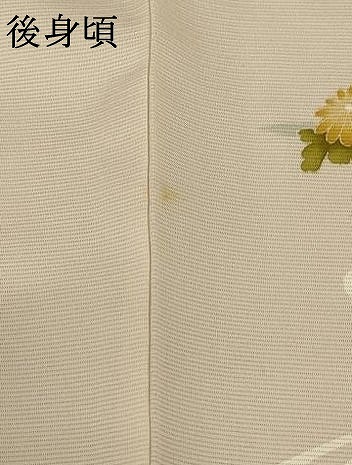 平和屋着物＊夏物　訪問着　絽　流水草花文　正絹　逸品　AABC6939jd_7