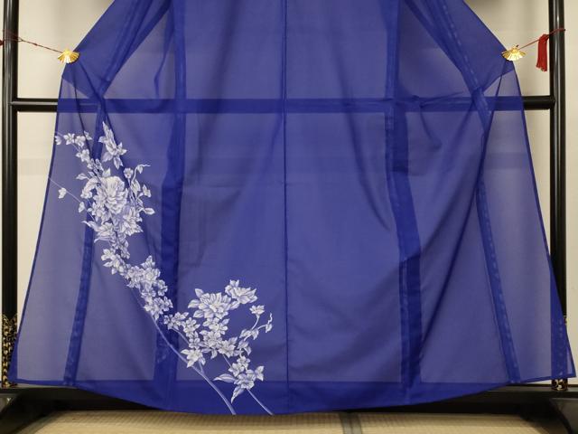 平和屋着物＊夏物 訪問着 絽 枝花文 洗える着物 AABC9365jd