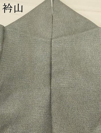 平和屋着物＊夏物　洗える最高級着物　＜英＞はなぶさ謹製　江戸小紋　絽　鮫小紋柄　洗える着物　AABD3288jd_8