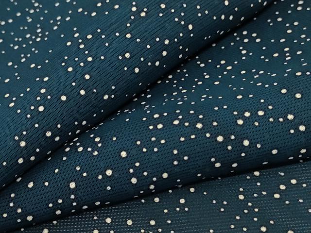 平和屋着物＊夏物　小紋　絽　霞文　正絹　逸品　AABD3381jd