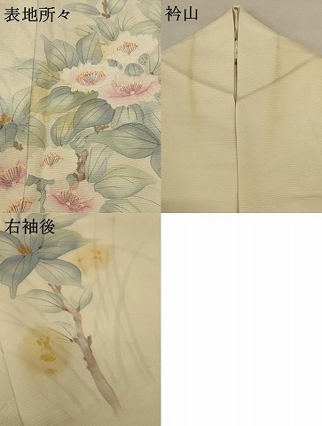 平和屋着物＊夏物　訪問着　絽　手描き　草花文　正絹　逸品　AABD8900jd_7