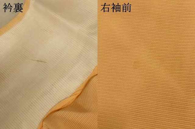 平和屋着物＊夏物　訪問着　絽　草花文　正絹　逸品　AABE2688jd_7