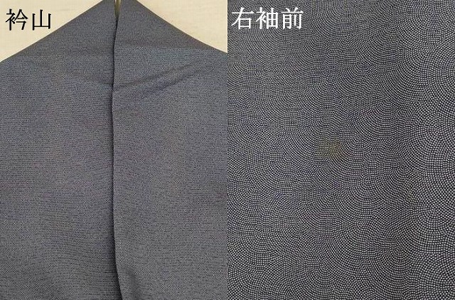 平和屋着物＊夏物　江戸小紋　彫士：住田双光・染士：服部光擴　絽　鮫小紋柄　正絹　逸品　AABE4330jd_8