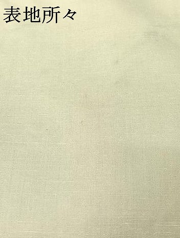 平和屋着物▽訪問着　単衣　紬地　手描き　風景文　正絹　逸品　AABE6878jh_6