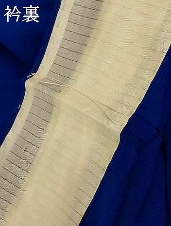 平和屋着物＊夏物　訪問着　絽　鳥　正絹　逸品　AABF2797jd_7