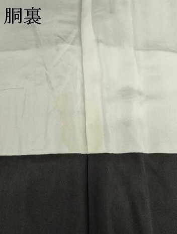 平和屋着物●訪問着　短冊花鳥文　暈し染め　金彩　ロング丈　正絹　逸品　AABF2848ck_7
