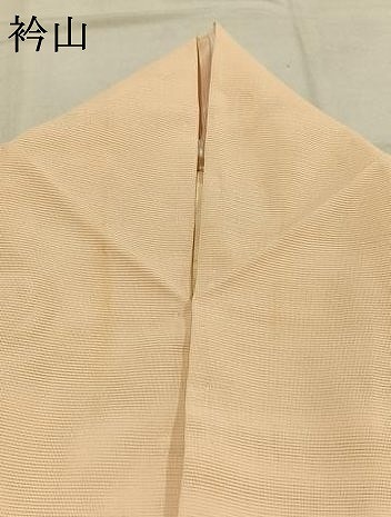 平和屋着物＊夏物　訪問着　絽　飛鳥文　暈し染め　洗える着物　AABF5707fy_7