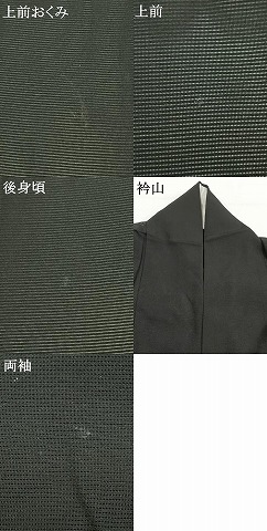平和屋着物＊夏物　訪問着　絽　手描き　勝虫　竹　暈し染め　黒地　金彩　正絹　逸品　AABF5865fy_8