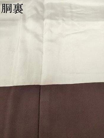 平和屋着物●江戸小紋　作家物　鮫小紋柄　草木染　正絹　逸品　AABF6123ck_7