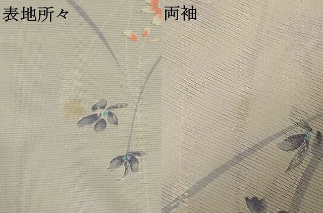 平和屋着物＊夏物　小紋　絽　草花文　洗える着物　AABG2003jd_7