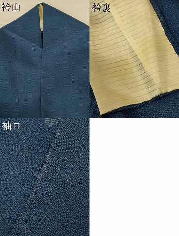 平和屋着物＊夏物　江戸小紋　絽　鮫小紋柄　正絹　逸品　AABG2075jd_7