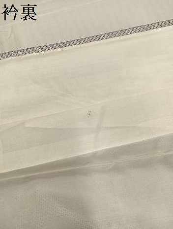平和屋着物●本場大島紬　白大島　草花文　正絹　逸品　未使用　AABG3463ph_6