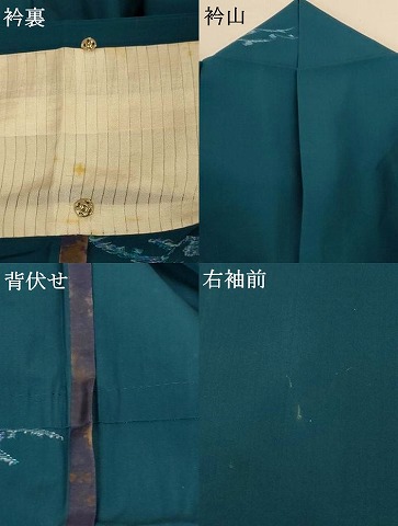 平和屋着物＊夏物　小紋　紗　露芝文　正絹　逸品　AABG3898jd_7