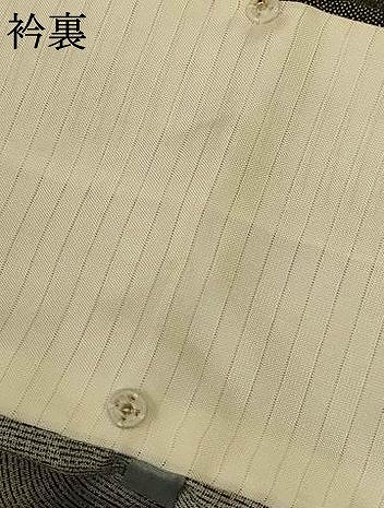 平和屋着物＊夏物　江戸小紋　変わり絽　作家物　鮫小紋柄　ロング丈　正絹　逸品　AABG3917jd_8