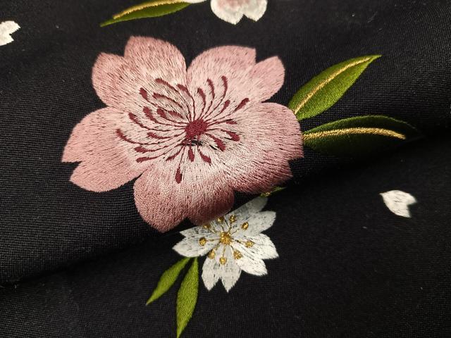 平和屋着物●女性　行灯袴　刺繍　舞桜文　暈し染め　洗える着物　AABG4093ph 平和屋着物○女性 行灯袴 刺繍 舞桜文 暈し染め 洗える着物 AABG4093ph
