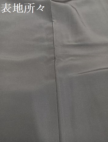 平和屋着物●上質な色無地　桔梗鼠色　正絹　逸品　AABG4125ph_7