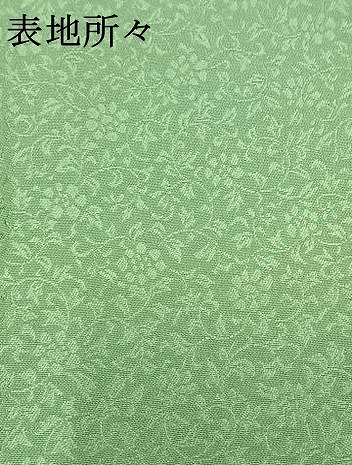 平和屋着物●中国人間国宝　将雪英　訪問着　中国三大刺繍　相良刺繍　総刺繍　鳥獣戯画　薄緑色　正絹　逸品　AABG4703fy_9