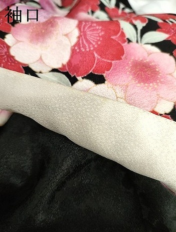 平和屋着物●豪華振袖　駒刺繍　枝垂れ花文　暈し染め　黒地　金彩　正絹　逸品　AABG7960cs_7