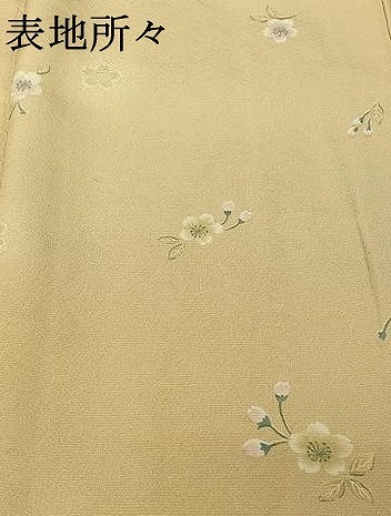 平和屋着物▽上質な小紋　単衣　舞花文　正絹　逸品　AABG8695jh_7