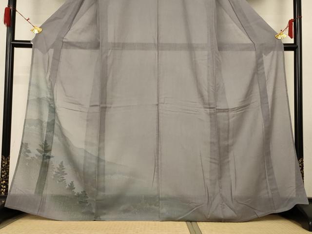 平和屋着物＊夏物　訪問着　紗　手描き　風景文　正絹　逸品　未使用　AABG9214jd_2