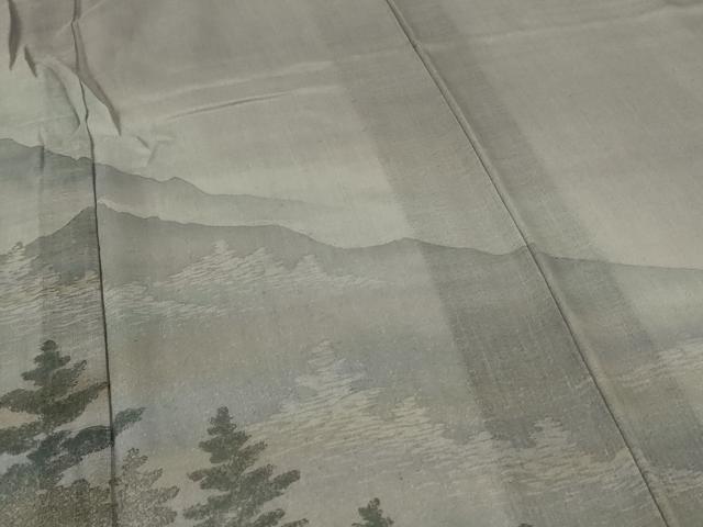 平和屋着物＊夏物　訪問着　紗　手描き　風景文　正絹　逸品　未使用　AABG9214jd_3