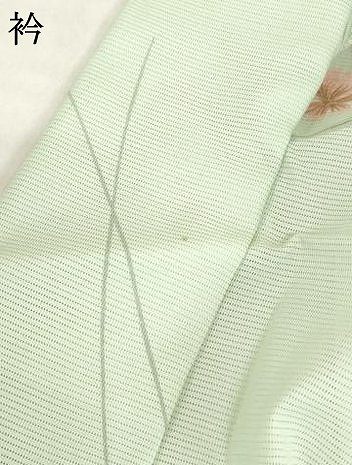 平和屋着物＊夏物　小紋　絽　草花文　洗える着物　AABH2103ck_5