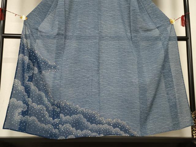 平和屋着物＊夏物　訪問着　絽　雲取り舞花文　正絹　逸品　AABH2545jd_2