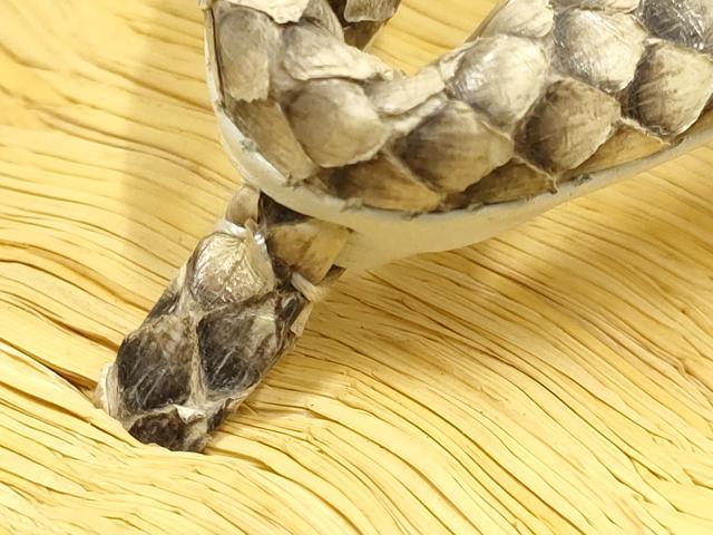 平和屋着物●男性　和装小物　雪駄　畳表　鼻緒：蛇皮　牛革底　スネークスキン　逸品　AABH4296ay_1
