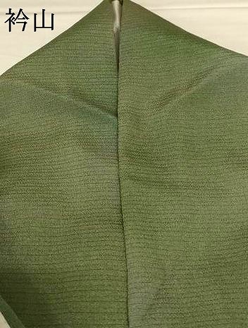 平和屋着物＊夏物　小紋　絽縮緬　霞文　暈し染め　正絹　逸品　AABH9429jd_8