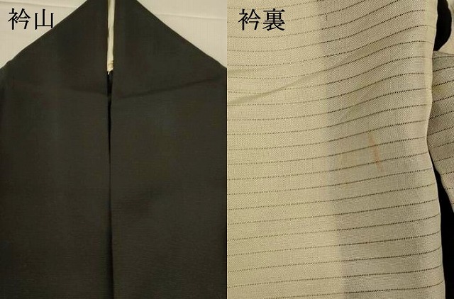 平和屋着物＊夏物　訪問着　絽　草花文　銀彩　正絹　逸品　AABI0657jd_7
