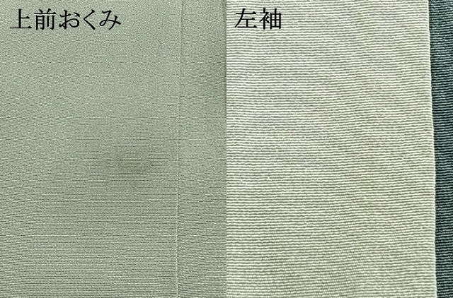 平和屋着物●訪問着　友禅　作家物　草花文　暈し染め　ロング丈　正絹　逸品　AABI1290fy_9