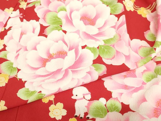 平和屋着物[]七五三　女の子　７歳　祝着　四つ身　pom ponette　舞花文　犬　洗える着物　未使用　AABI2645ja_3