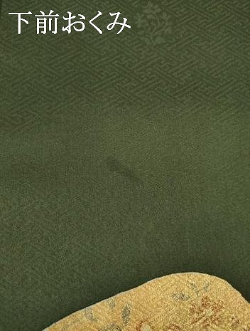 平和屋着物●訪問着　道永雪輪花文　摺り剥がし　金彩　ロング丈　正絹　逸品　AABI4433ck_8