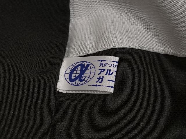 48621662_8